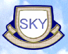 Logo Trường Nhật ngữ Nagoya Sky
